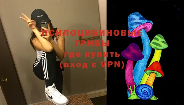 прущая мука Армянск