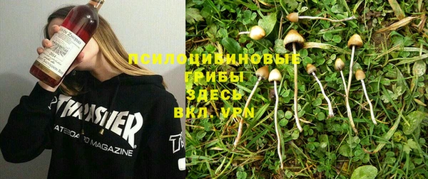 прущая мука Армянск