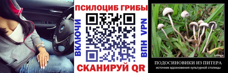 Галлюциногенные грибы MAGIC MUSHROOMS  Белозерск 