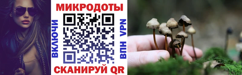 Псилоцибиновые грибы ЛСД Белозерск